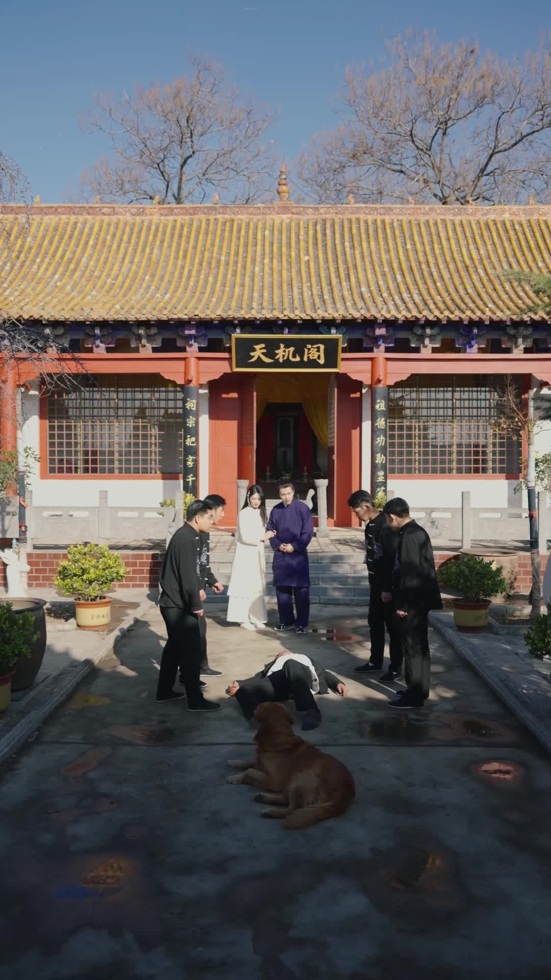 Episode 4 - I Raised a God Dog